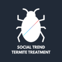 social trend (20)